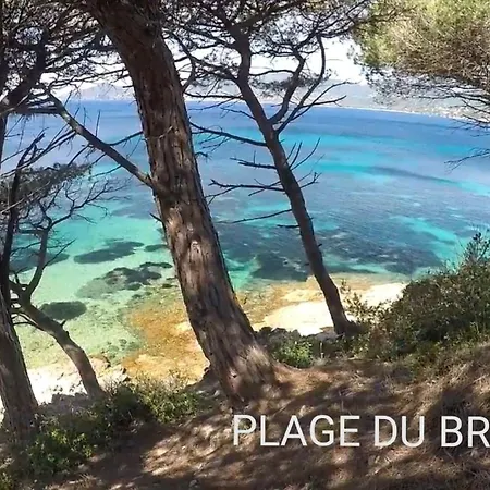 Le Sarment - F3 Luxury With Pool