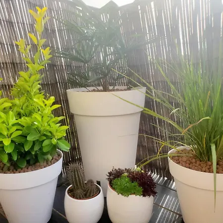 Apartamento Le Sarment - F3 Luxury With Pool *