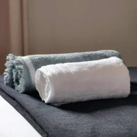 Le Sarment - F3 Luxury With Pool